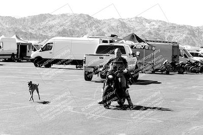 media/Mar-12-2022-SoCal Trackdays (Sat) [[152081554b]]/Around the Pits/